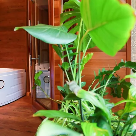 Wellness Sedmihorky Holiday home